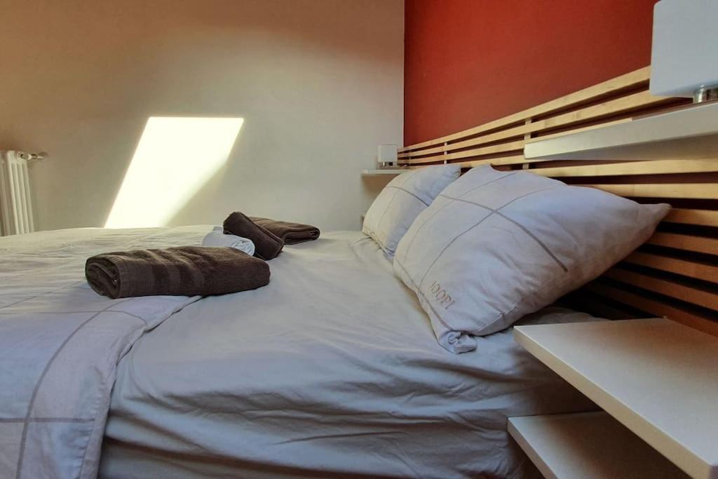 Charming 2.5Room Flat In Center Of มอนฟอร์เต ดิ อัลบา ภายนอก รูปภาพ